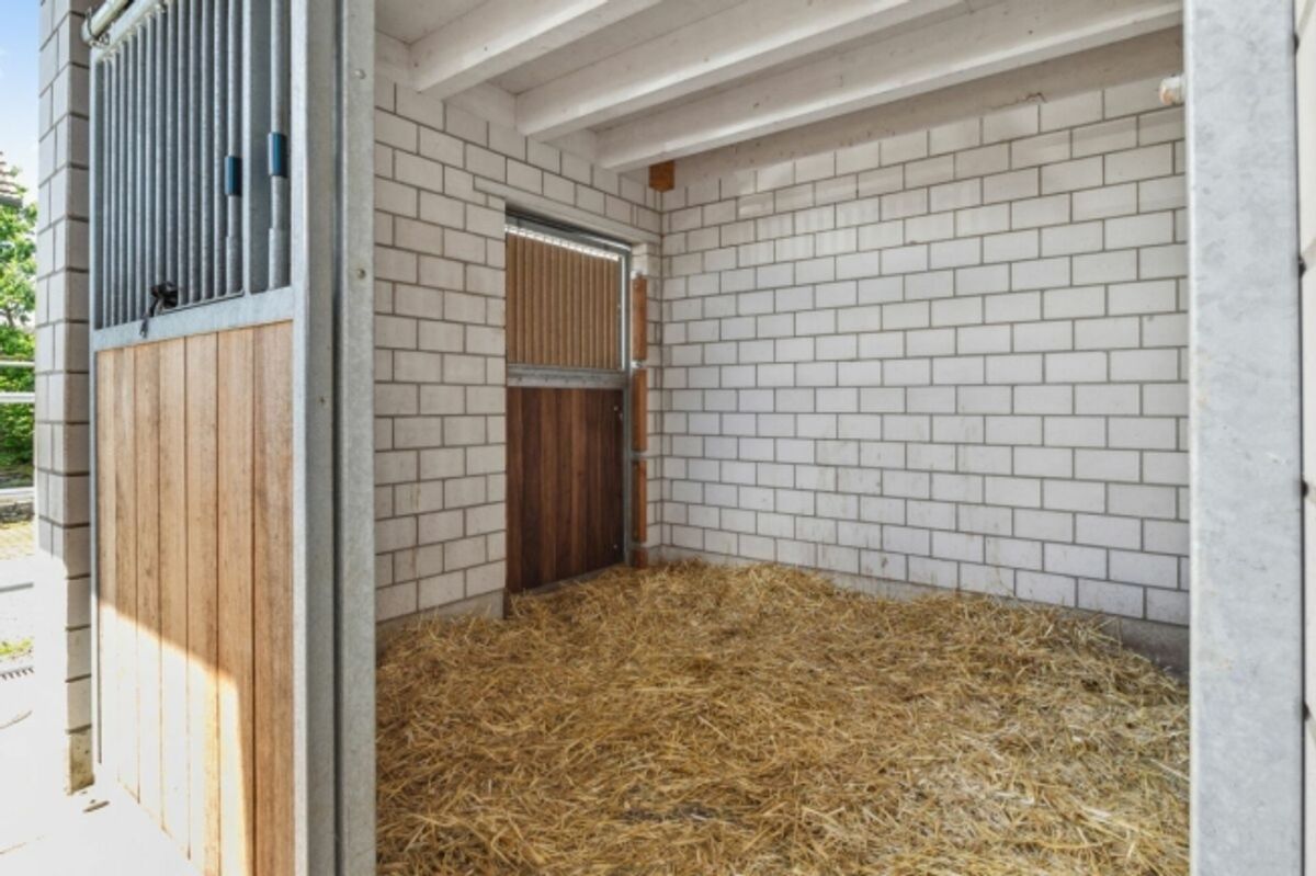 REITSPORT, WOHN- UND GEWERBEIMMOBILIE MIT VIELFÄLTIGEN NUTZUNGSMÖGLICHKEITEN - 2