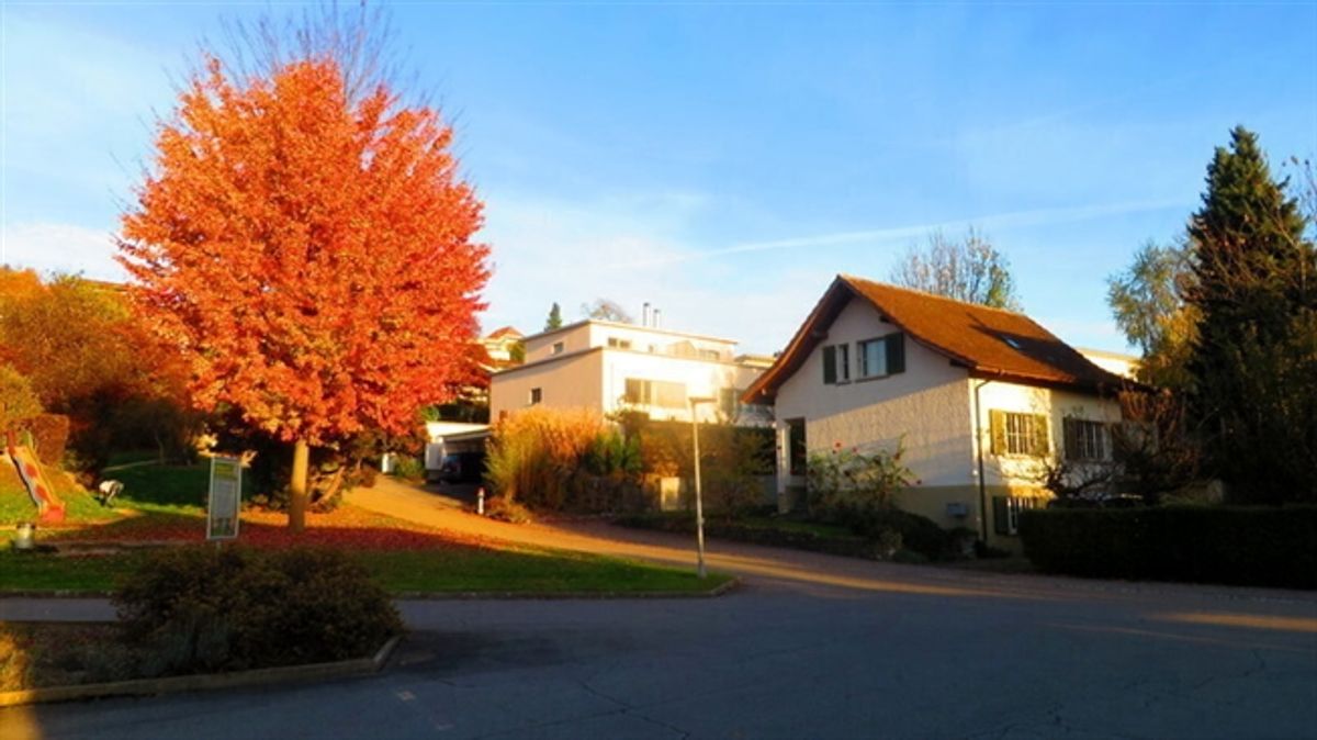 5½ ZIMMER-HAUS IN WORB (BE), MÖBLIERT, TEMPORÄR - 3