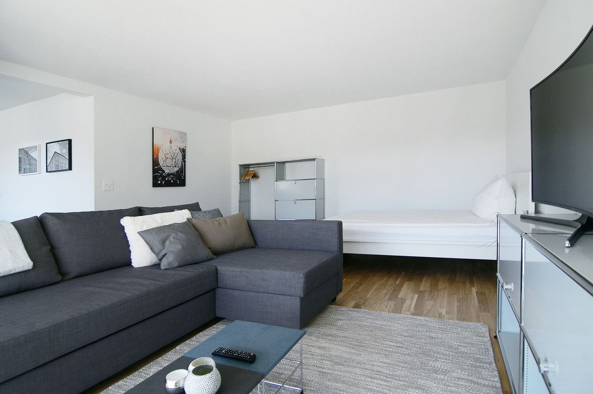Spacious 1.5 room apartment with balcony - 1