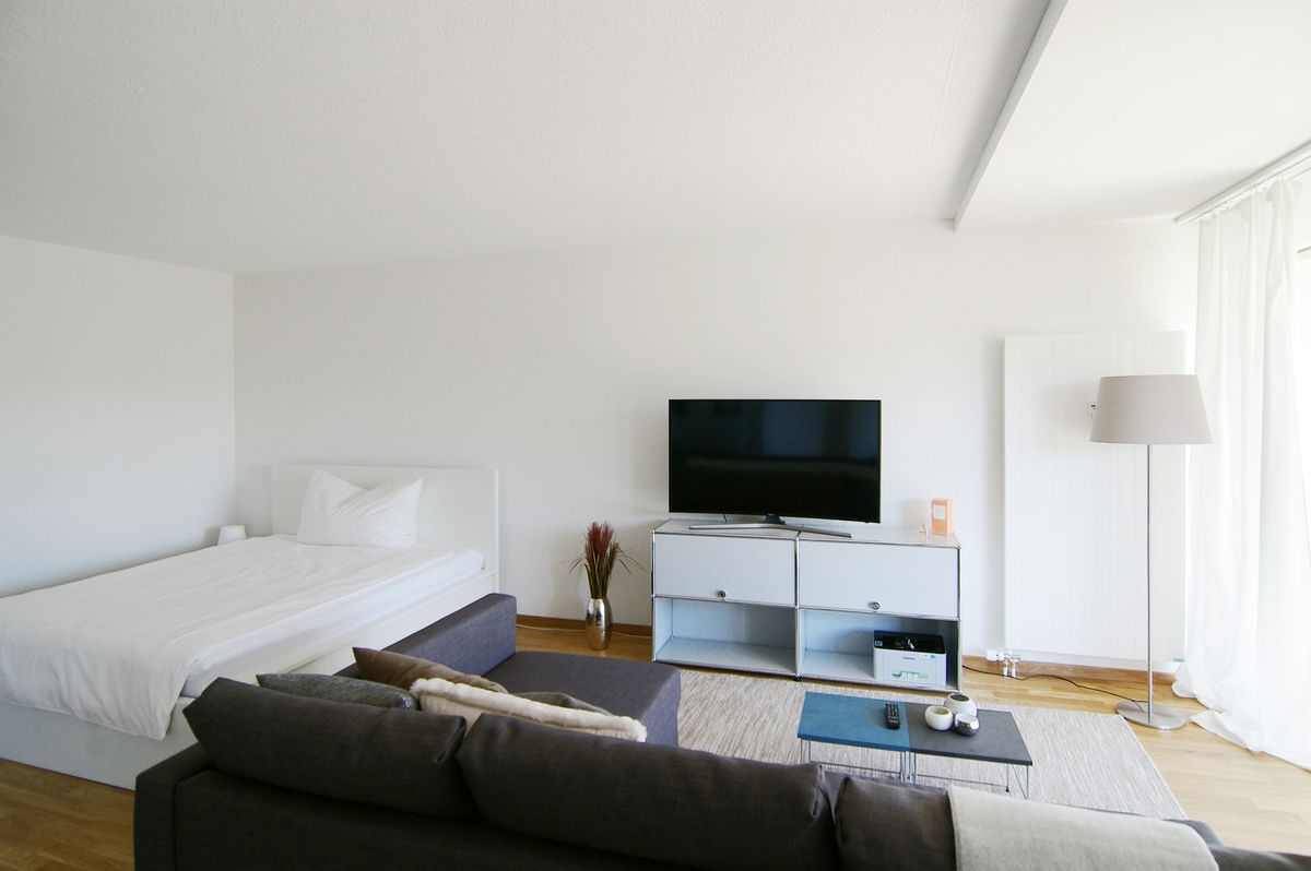 Spacious 1.5 room apartment with balcony - 2