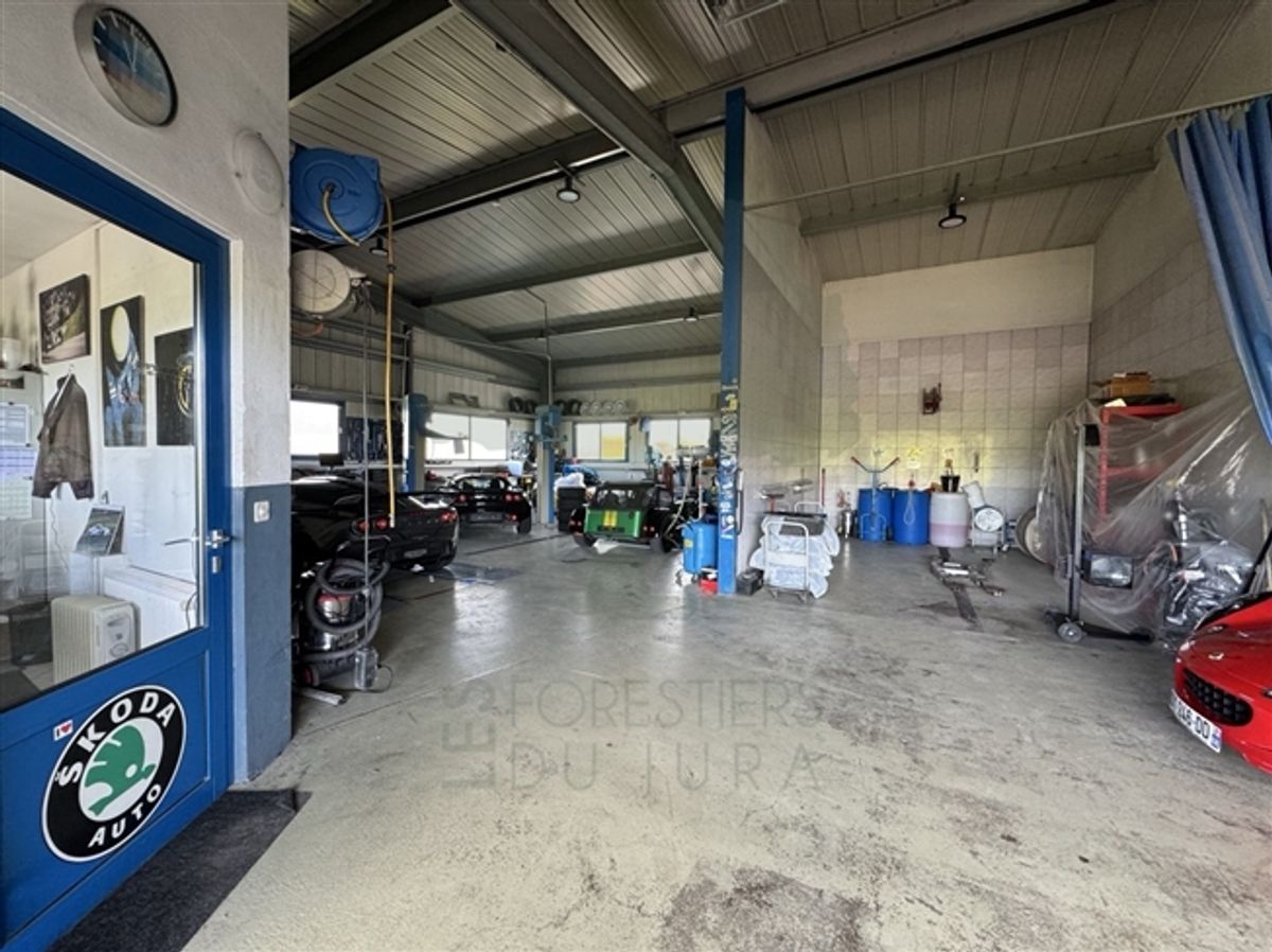 Garage und Karosserie in Fahy mit Waschplatz - 5
