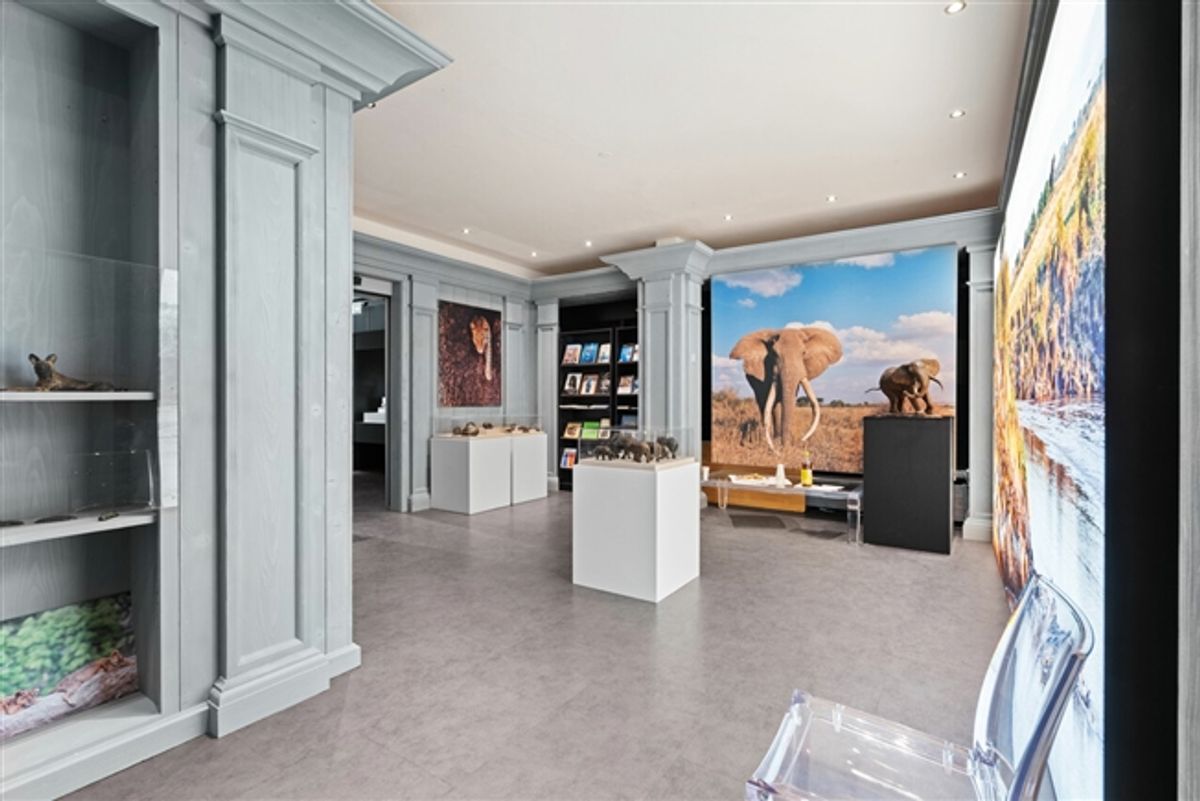 Local commercial 430m2 rue commerçante - 0