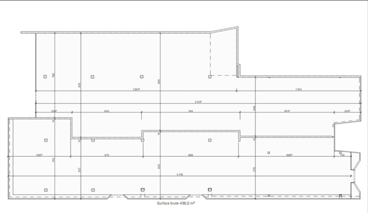 Local commercial 430m2 rue commerçante - 2