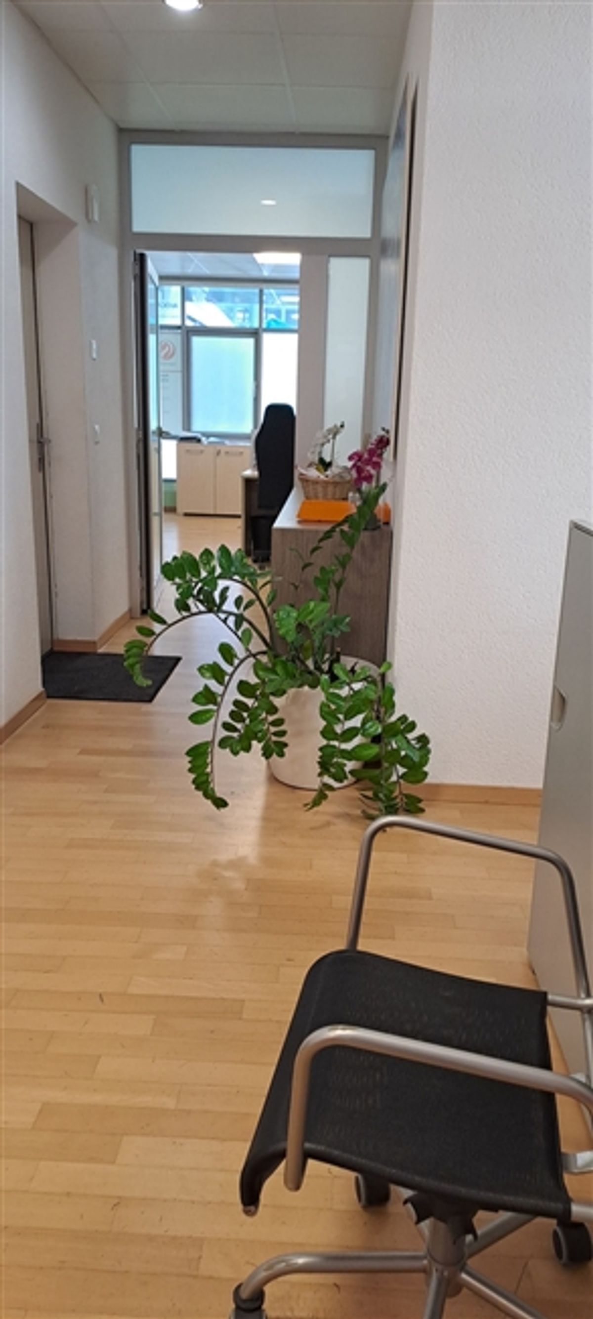 ZU VERKAUFEN ZWEI BÜROS
FÜR INVESTOR
MARTIGNY - 8