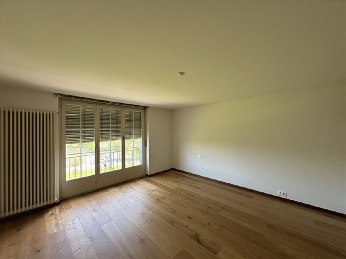 Wunderschöne Villa mit Pool auf über 4'000m2 Land - 8