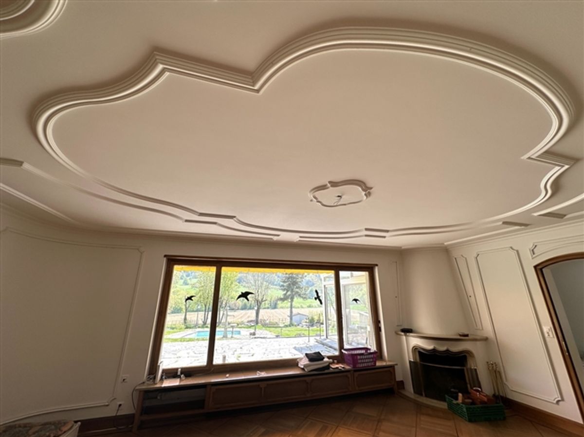Wunderschöne Villa mit Pool auf über 4'000m2 Land - 9