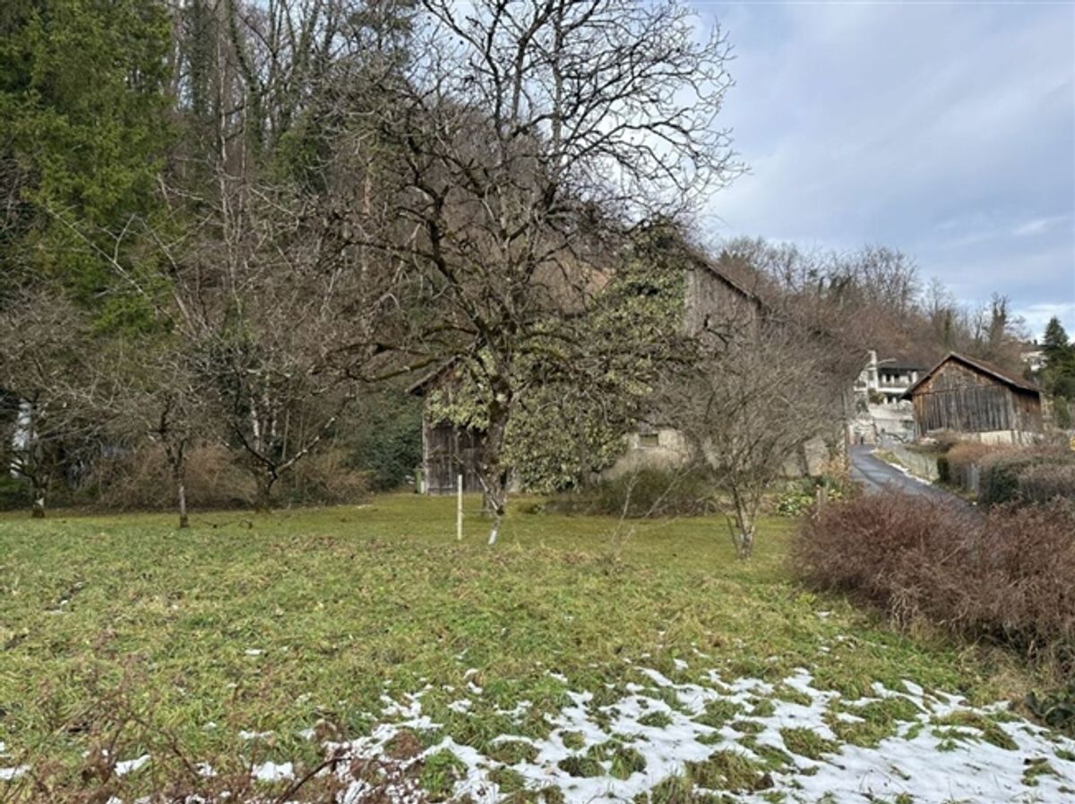 787 m2 Bauland in der Dorfkernzone Sevelen mit altem Wohnhaus und Scheune - 1