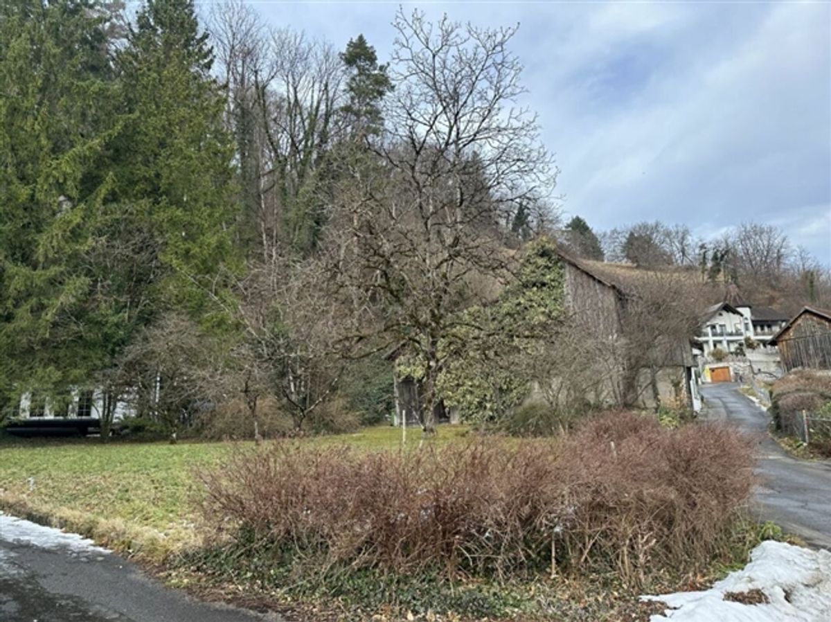 787 m2 Bauland in der Dorfkernzone Sevelen mit altem Wohnhaus und Scheune - 6