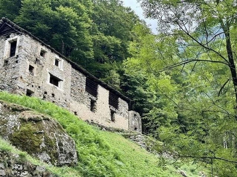 Rustico zum Ausbauen an sehr ruhiger, sonniger Aussichtslage / Rustico zu renovieren sehr ruhig und sonnig gelegen - 1