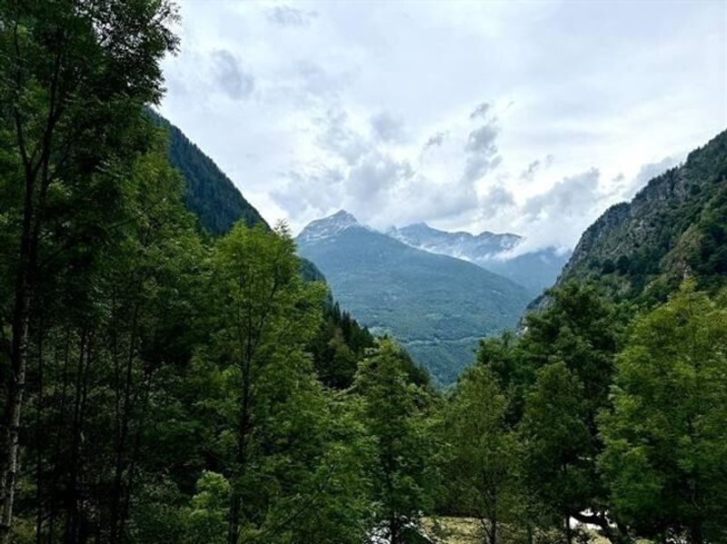Rustico zum Ausbauen an sehr ruhiger, sonniger Aussichtslage / Rustico zu renovieren sehr ruhig und sonnig gelegen - 8