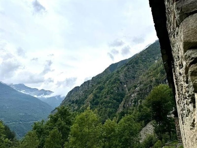 Rustico zum Ausbauen an sehr ruhiger, sonniger Aussichtslage / Rustico zu renovieren sehr ruhig und sonnig gelegen - 10