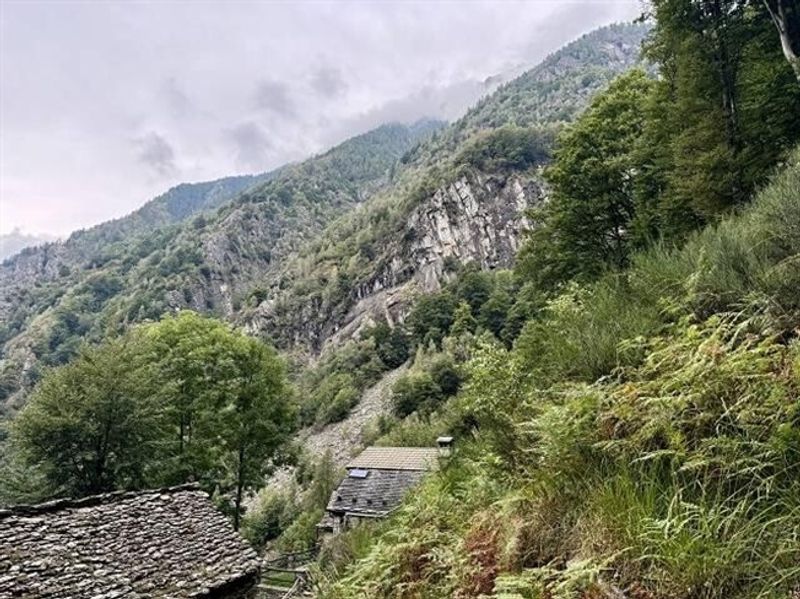 Rustico zum Ausbauen an sehr ruhiger, sonniger Aussichtslage / Rustico zu renovieren sehr ruhig und sonnig gelegen - 11