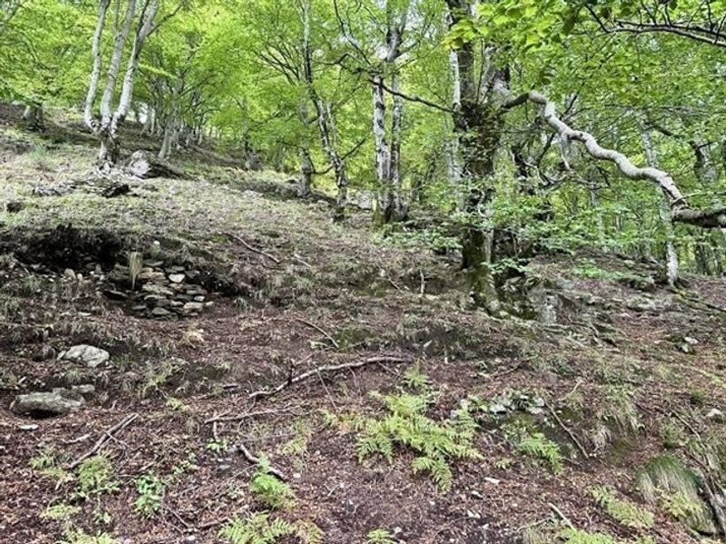 Rustico zum Ausbauen an sehr ruhiger, sonniger Aussichtslage / Rustico zu renovieren sehr ruhig und sonnig gelegen - 12