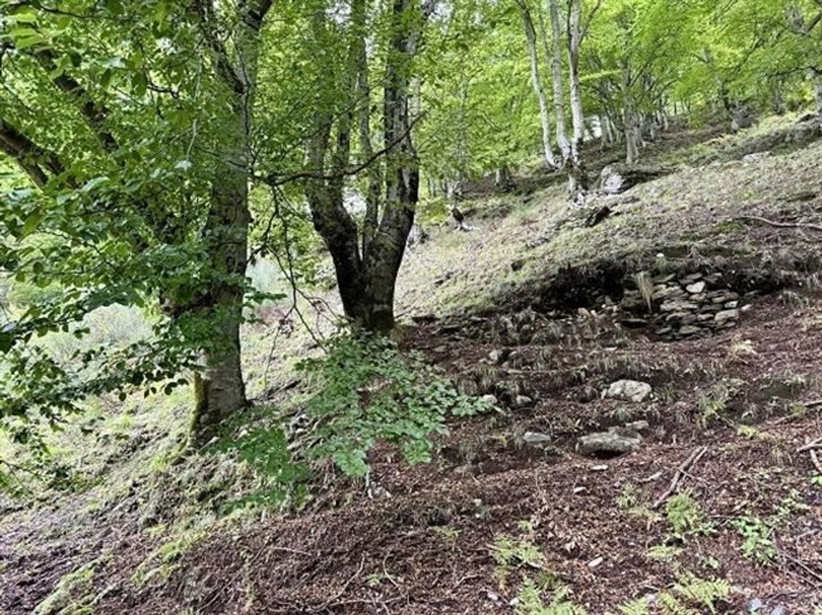 Rustico zum Ausbauen an sehr ruhiger, sonniger Aussichtslage / Rustico zu renovieren sehr ruhig und sonnig gelegen - 12