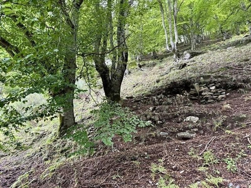 Rustico zum Ausbauen an sehr ruhiger, sonniger Aussichtslage / Rustico zu renovieren sehr ruhig und sonnig gelegen - 13