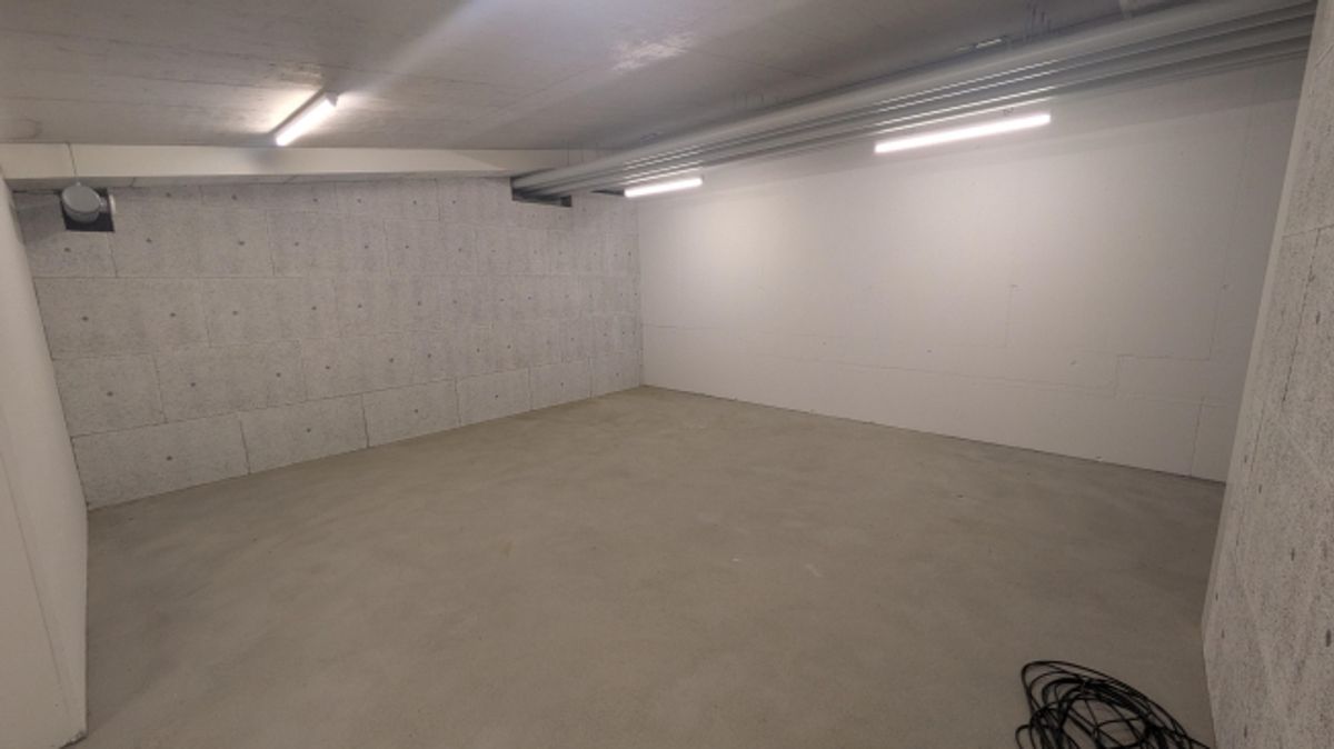 82.5m2 Lagerraum Regensdorf - Althardstrasse 52B - 0