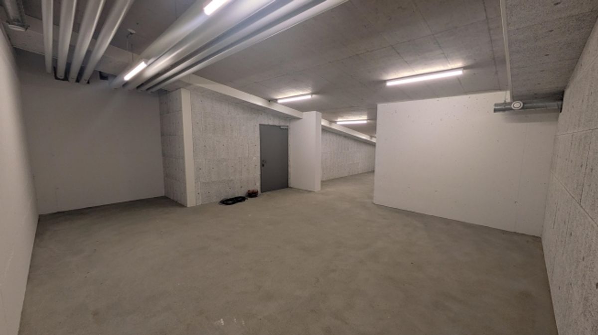 82.5m2 Lagerraum Regensdorf - Althardstrasse 52B - 3