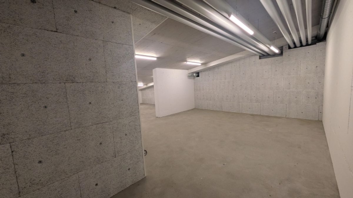 82.5m2 Lagerraum Regensdorf - Althardstrasse 52B - 2