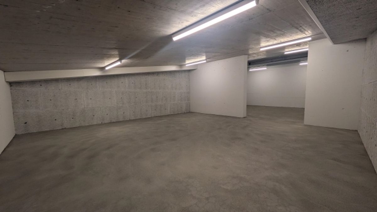 82.5m2 Lagerraum Regensdorf - Althardstrasse 52B - 7