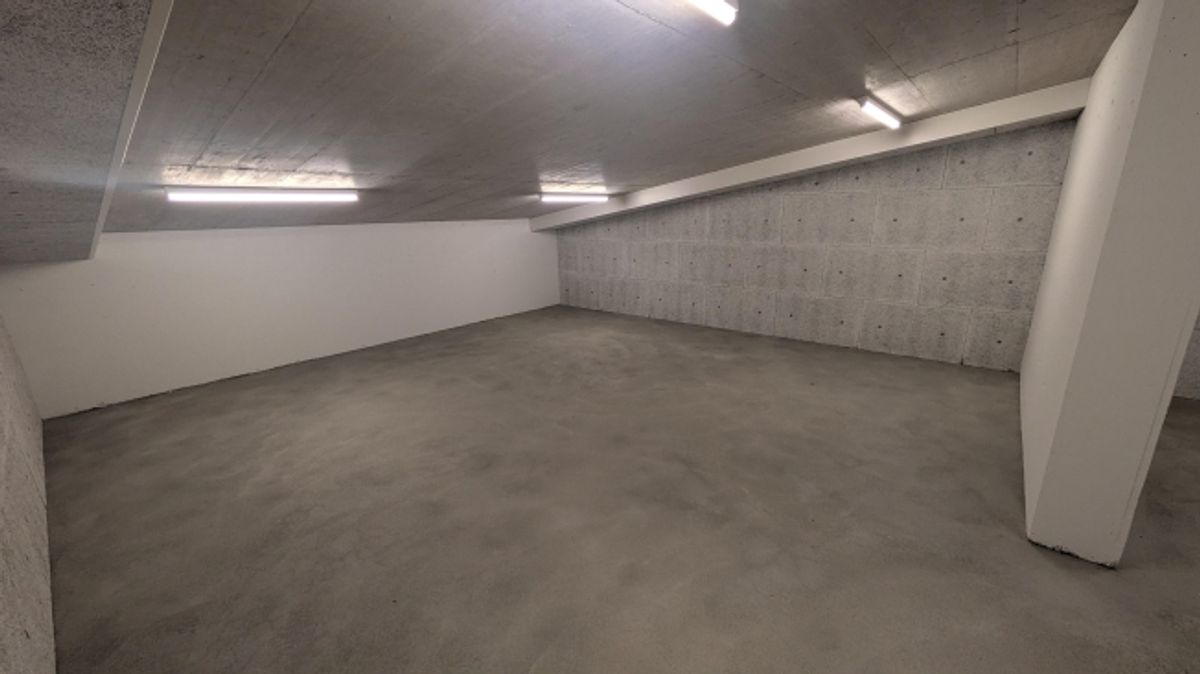 82.5m2 Lagerraum Regensdorf - Althardstrasse 52B - 8