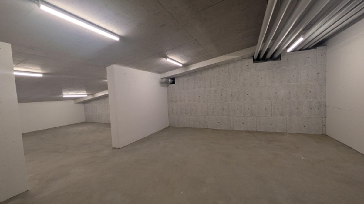 82.5m2 Lagerraum Regensdorf - Althardstrasse 52B - 9
