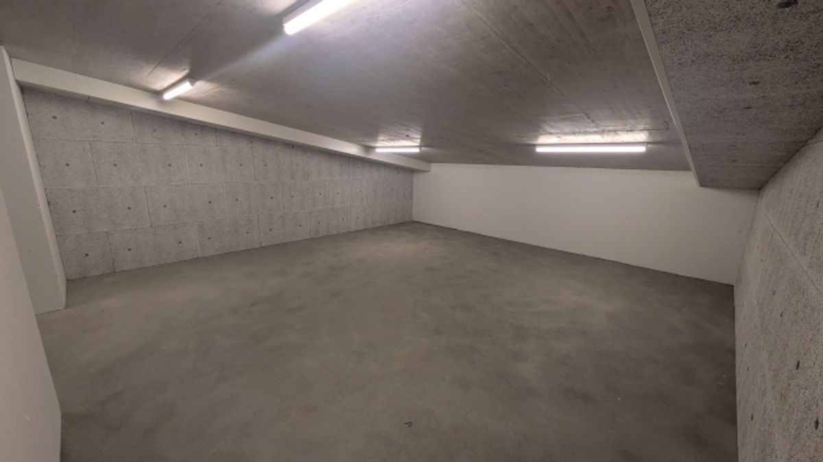82.5m2 Lagerraum Regensdorf - Althardstrasse 52B - 5