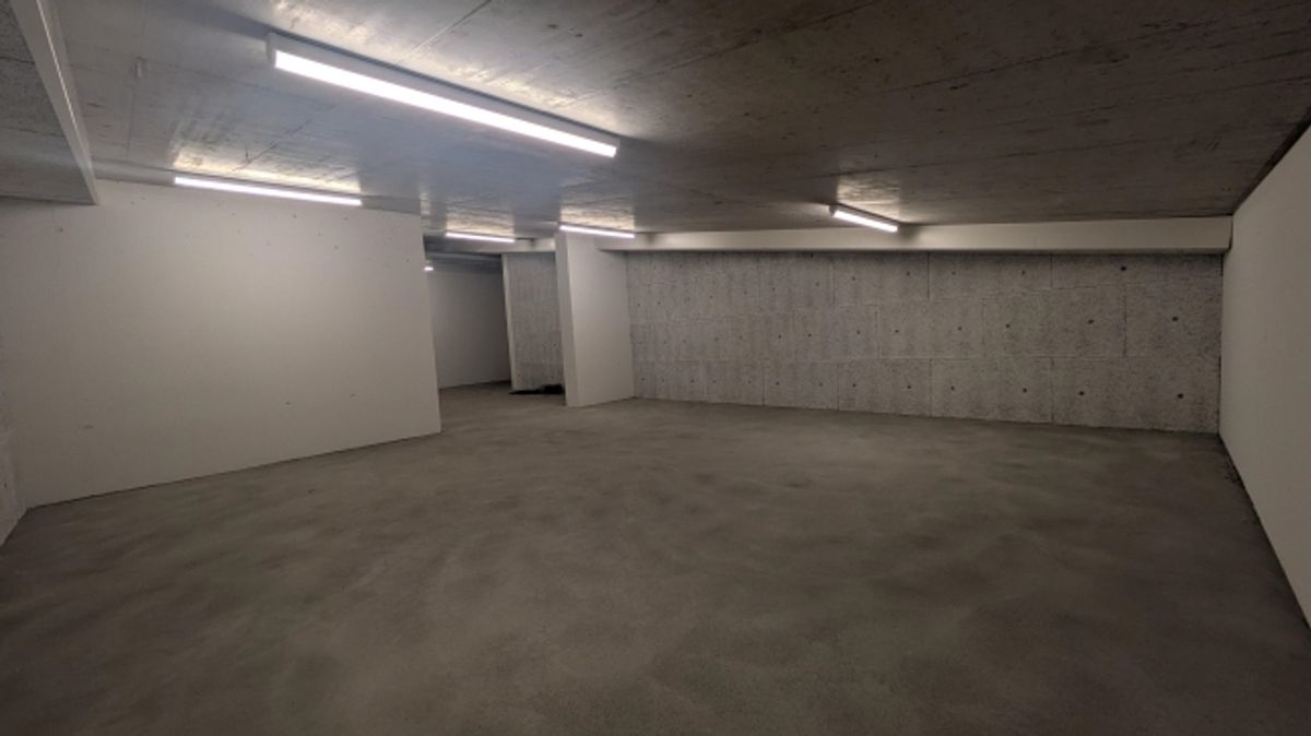82.5m2 Lagerraum Regensdorf - Althardstrasse 52B - 6