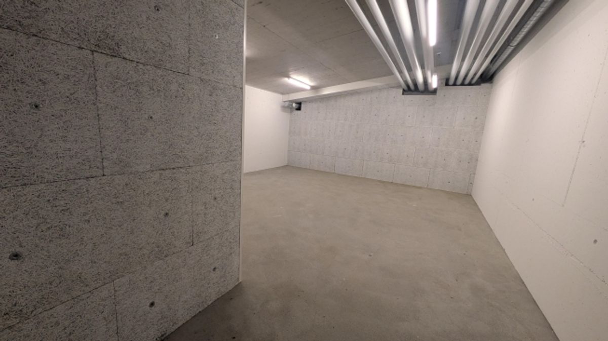 82.5m2 Lagerraum Regensdorf - Althardstrasse 52B - 10