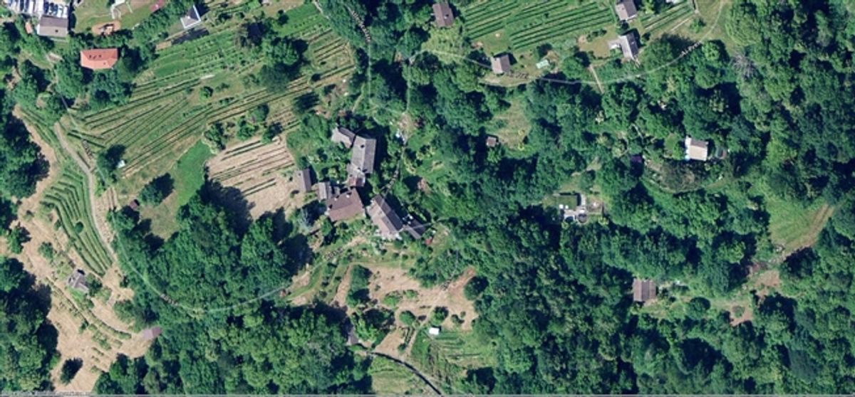 Wiesen- und Waldparzellen / Wiese und Wald - 1