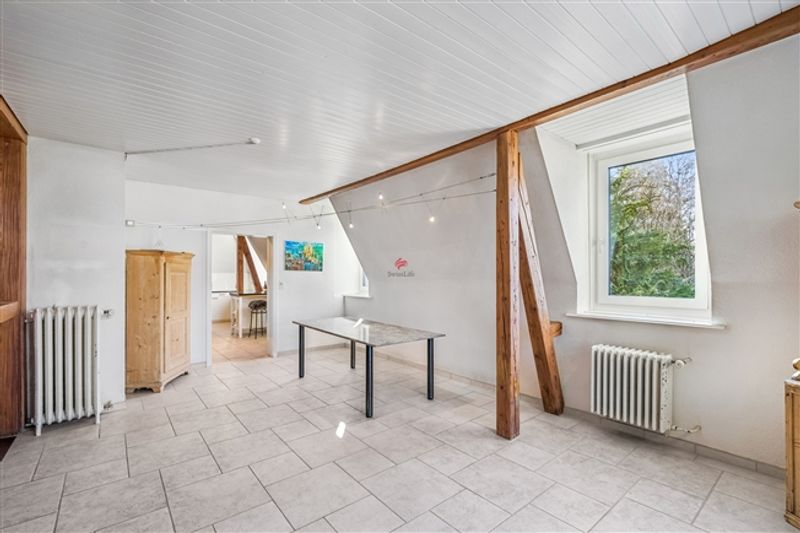 Einzigartige Maisonette
in prachtvoller Jugendstilvilla - 7