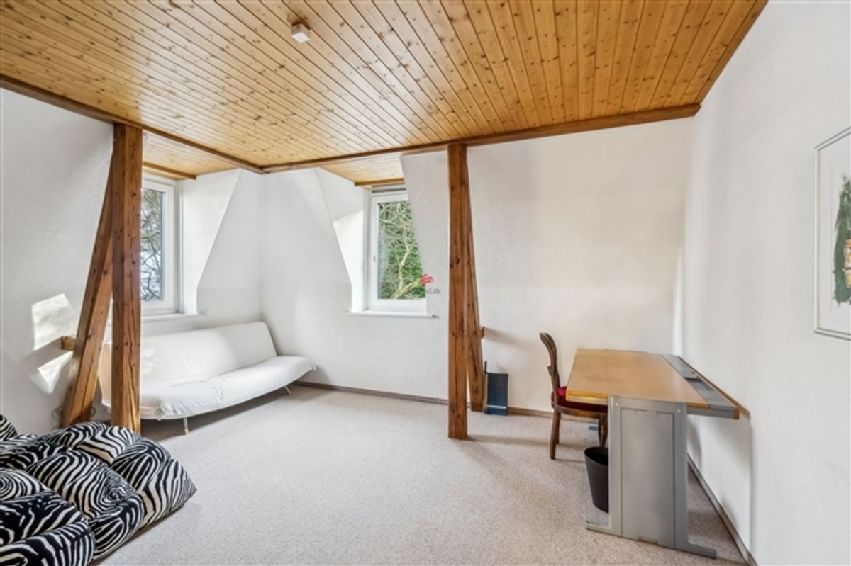 Einzigartige Maisonette
in prachtvoller Jugendstilvilla - 8