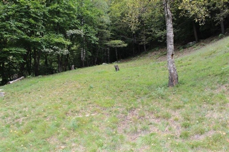 Rustico zum Ausbauen / Rustico zu renovieren - 9