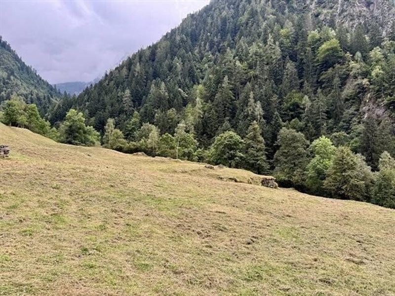 4.Zimmer-Rustico zum Ausbauen mit viel ebenem Wiesland / 4-Zimmer-Rustico zum Renovieren mit viel Wiesland - 8
