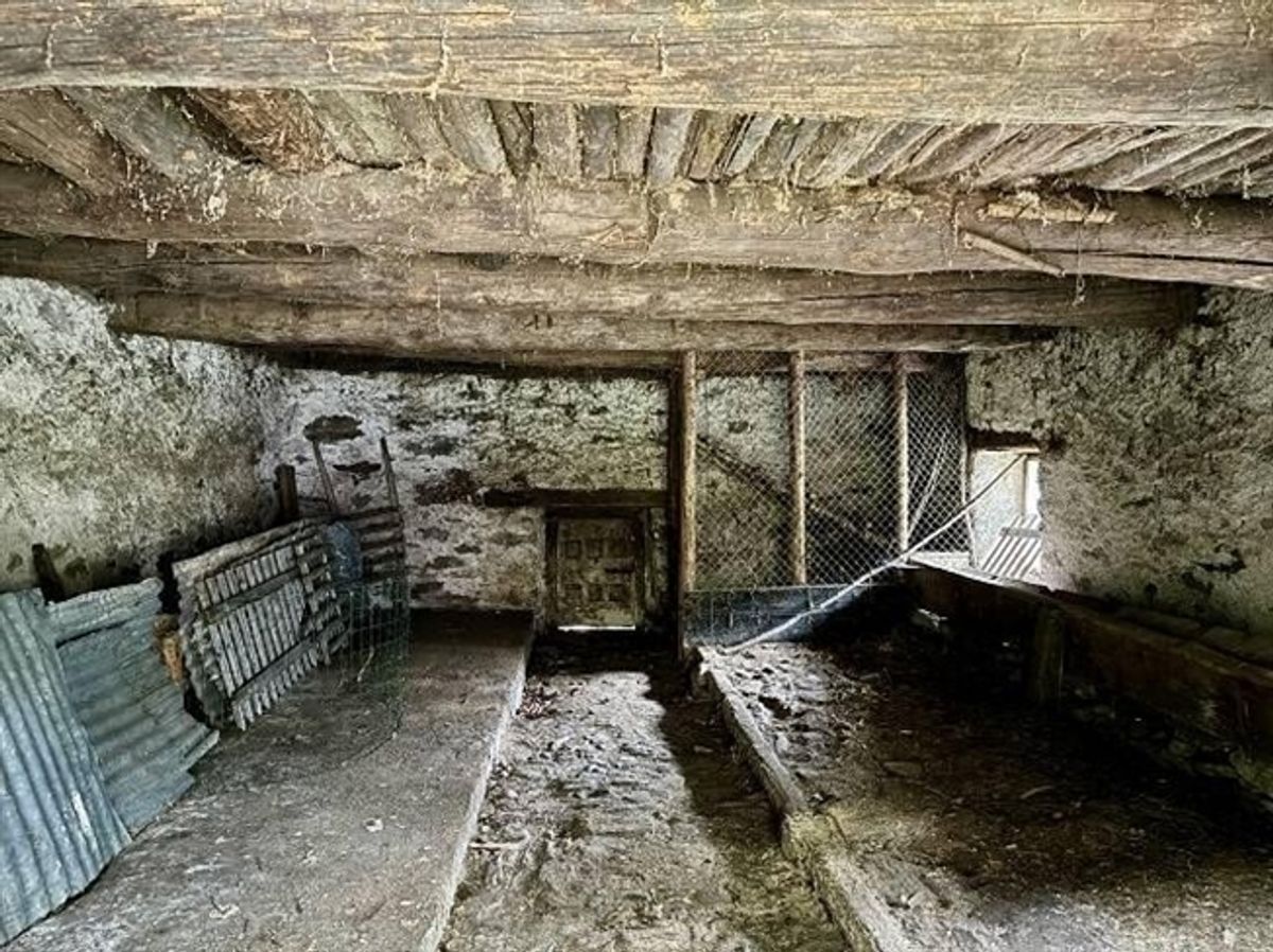 4.Zimmer-Rustico zum Ausbauen mit viel ebenem Wiesland / 4-Zimmer-Rustico zum Renovieren mit viel Wiesland - 4
