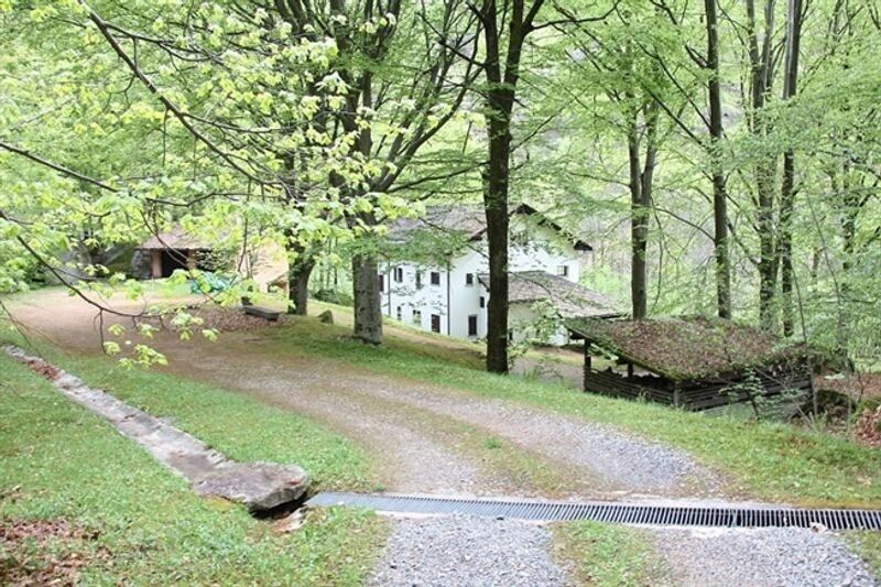 9 1/2-Zimmer-Herrschaftssitz mit grossem Umschwung / 9 1/2-Zimmer-Villa mit 17 000 m2 Land - 2