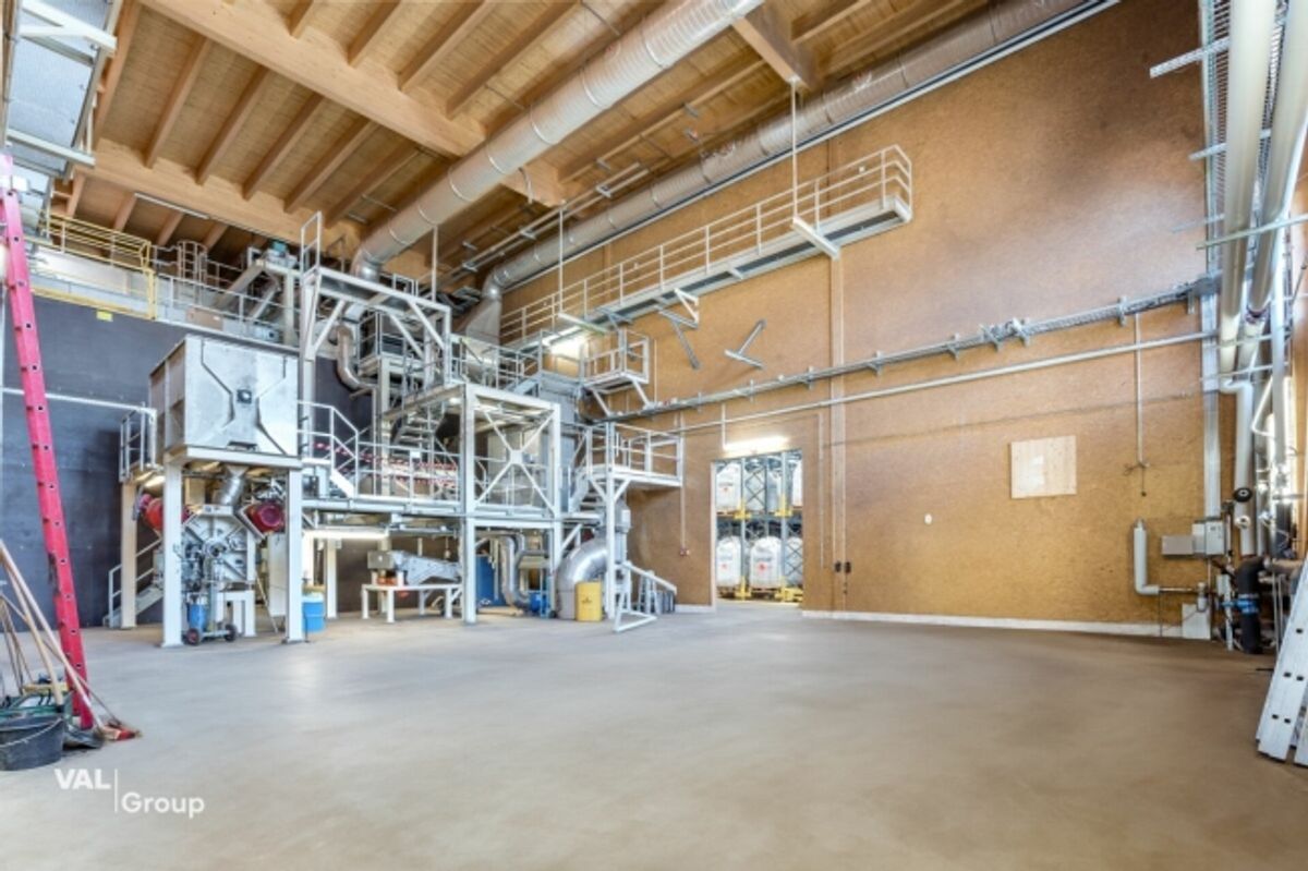 Bâtiment industriel unique - Construction en bois haut de gamme, utilisation polyvalente - 3