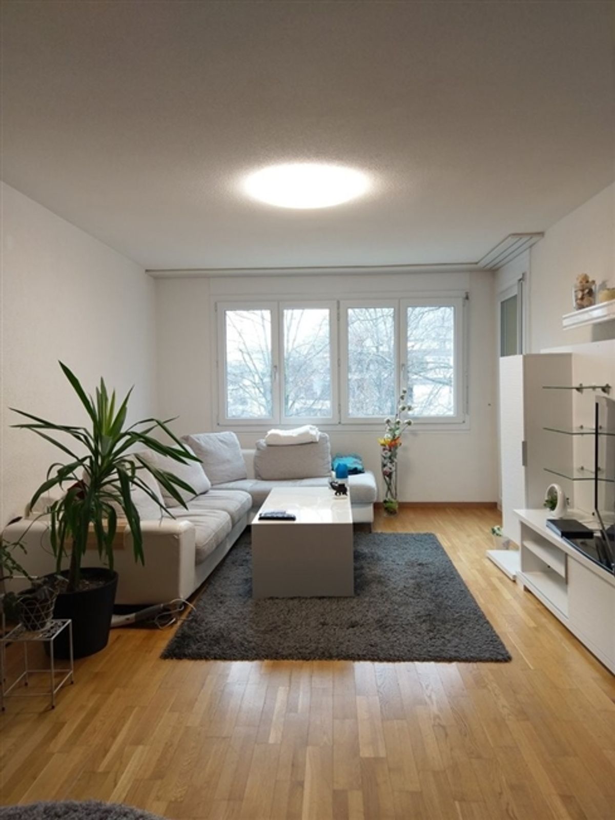 Gemütliche 3.5 Zimmer-Wohnung an ruhiger Lage - 2