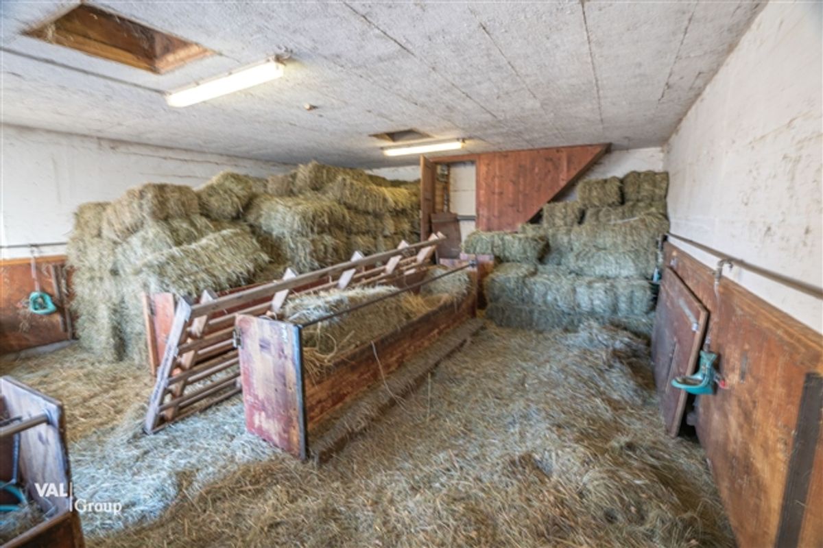 Stall, Scheune und Garage an schöner Lage - 3