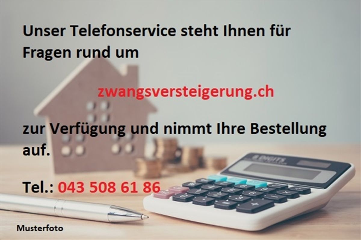 *Einfamilienhaus mit Schwimmbecken* - 3