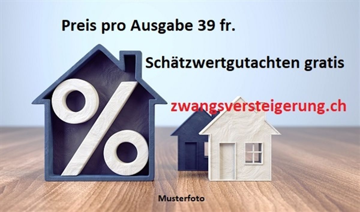 *Einfamilienhaus mit Schwimmbecken* - 4