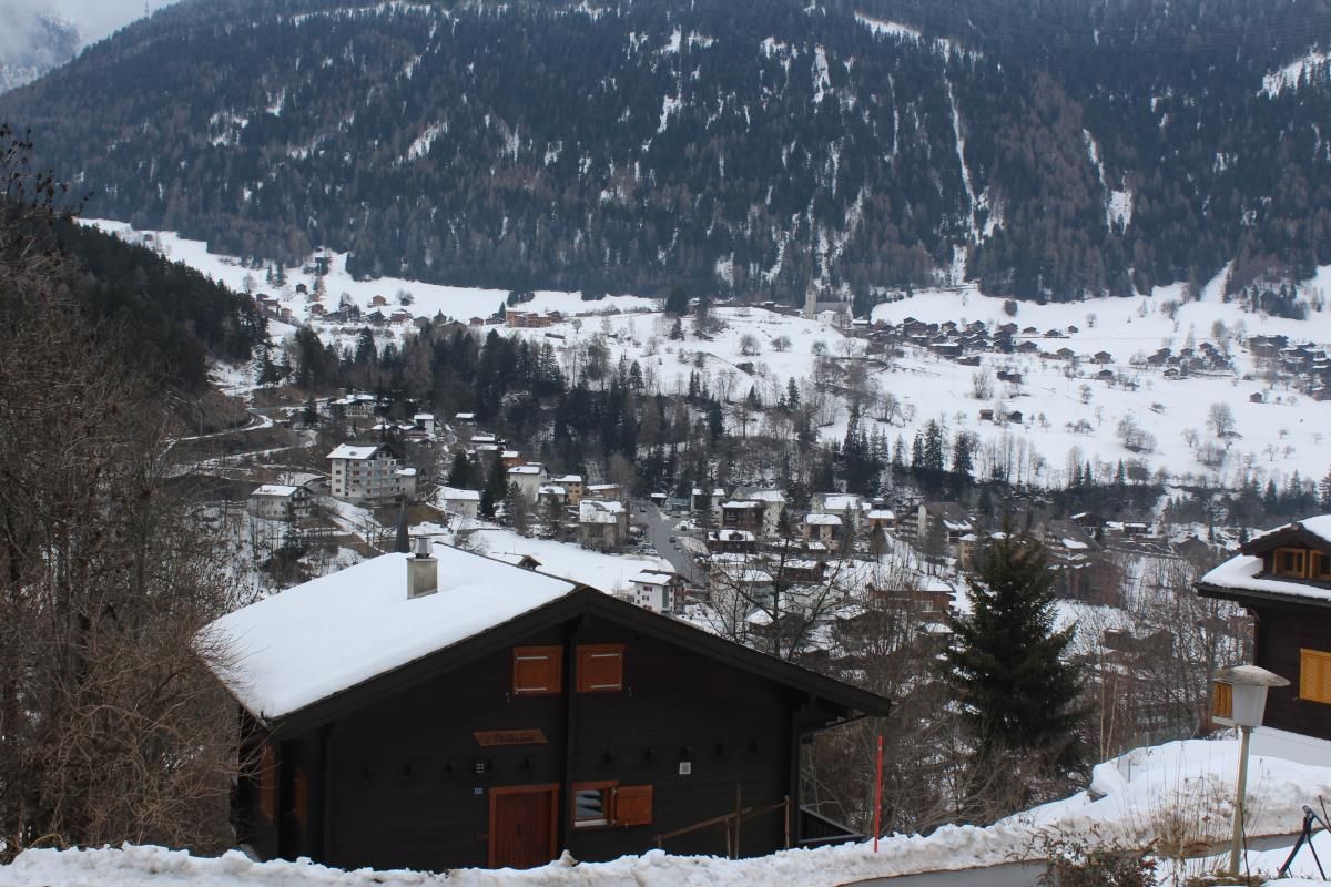 5.5 Zimmer Chalet - 4