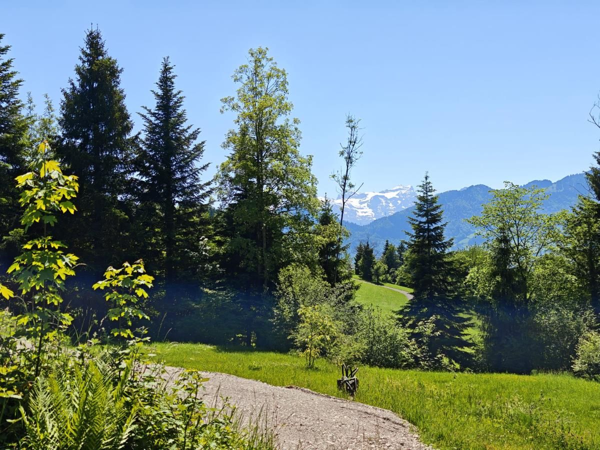 4.5 Zimmer Einfamilienhaus - 1