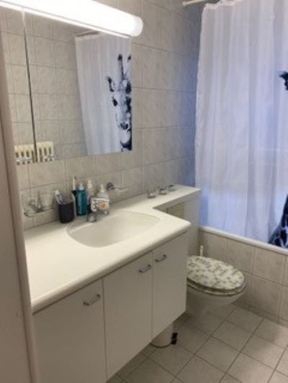 Ihr neues Zuhause in Zürich Wollishofen - 3