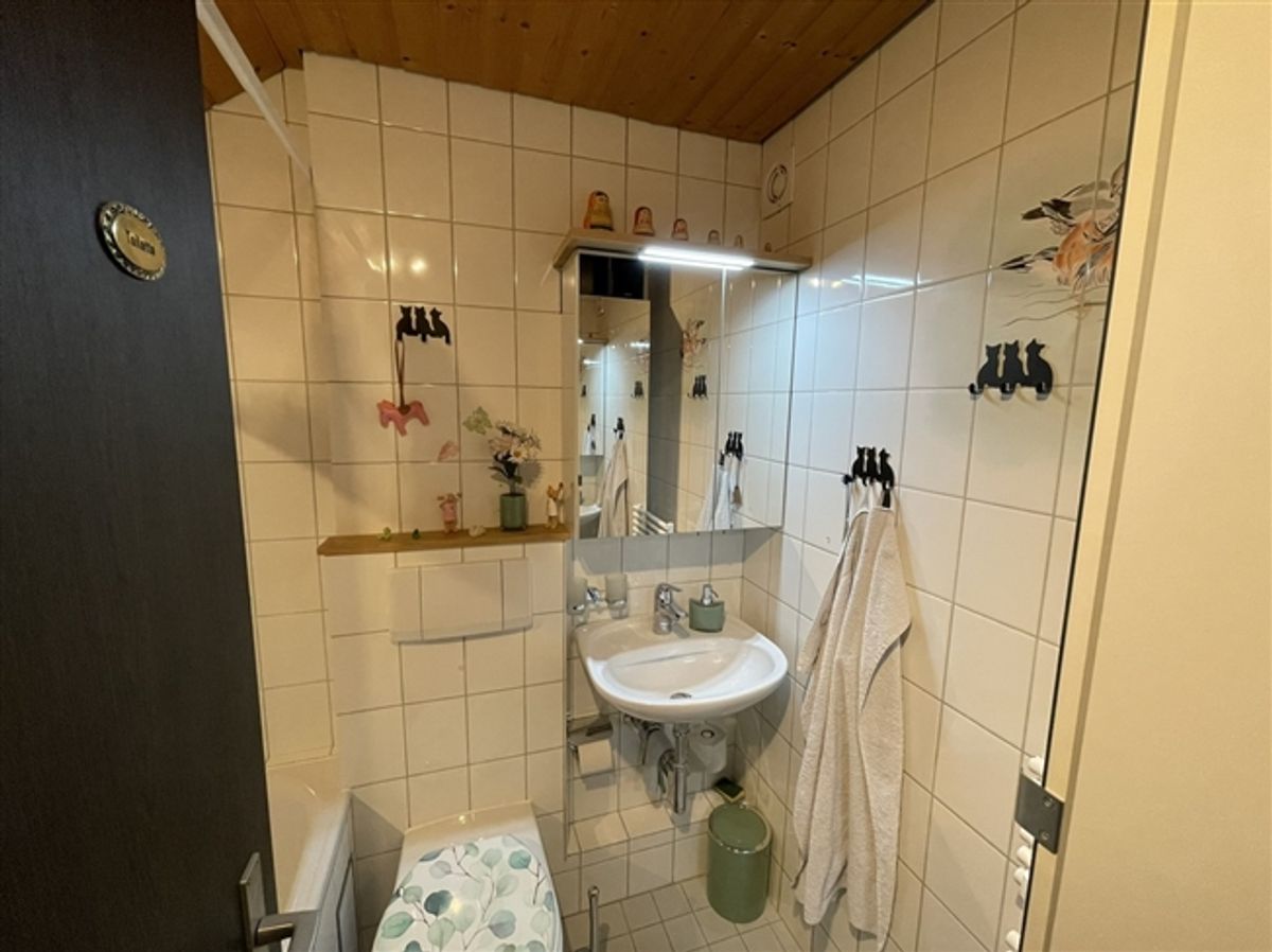 Bezaubernde Maisonette-Dachwohnung in Binningen - 5