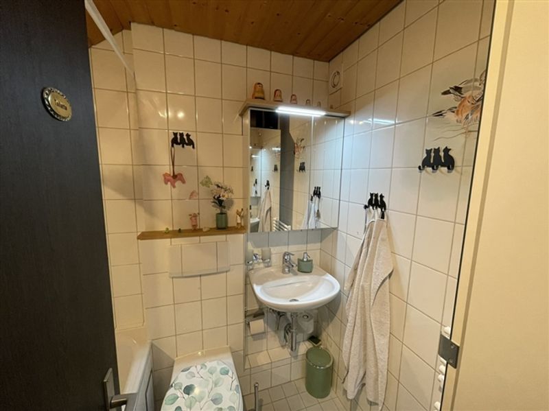Bezaubernde Maisonette-Dachwohnung in Binningen - 6