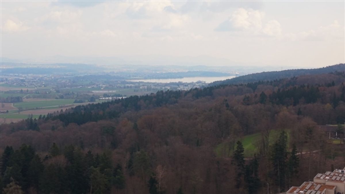 Architektonisches Reihenhaus mit Weite, Licht und Privatsphäre in Gockhausen - 12