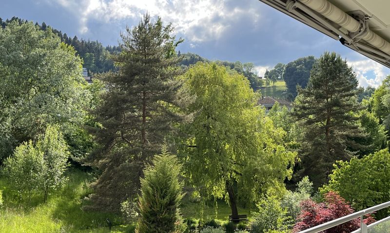 Helle 3.5-Zimmerwohnung mit Balkon und schönem Ausblick - 12