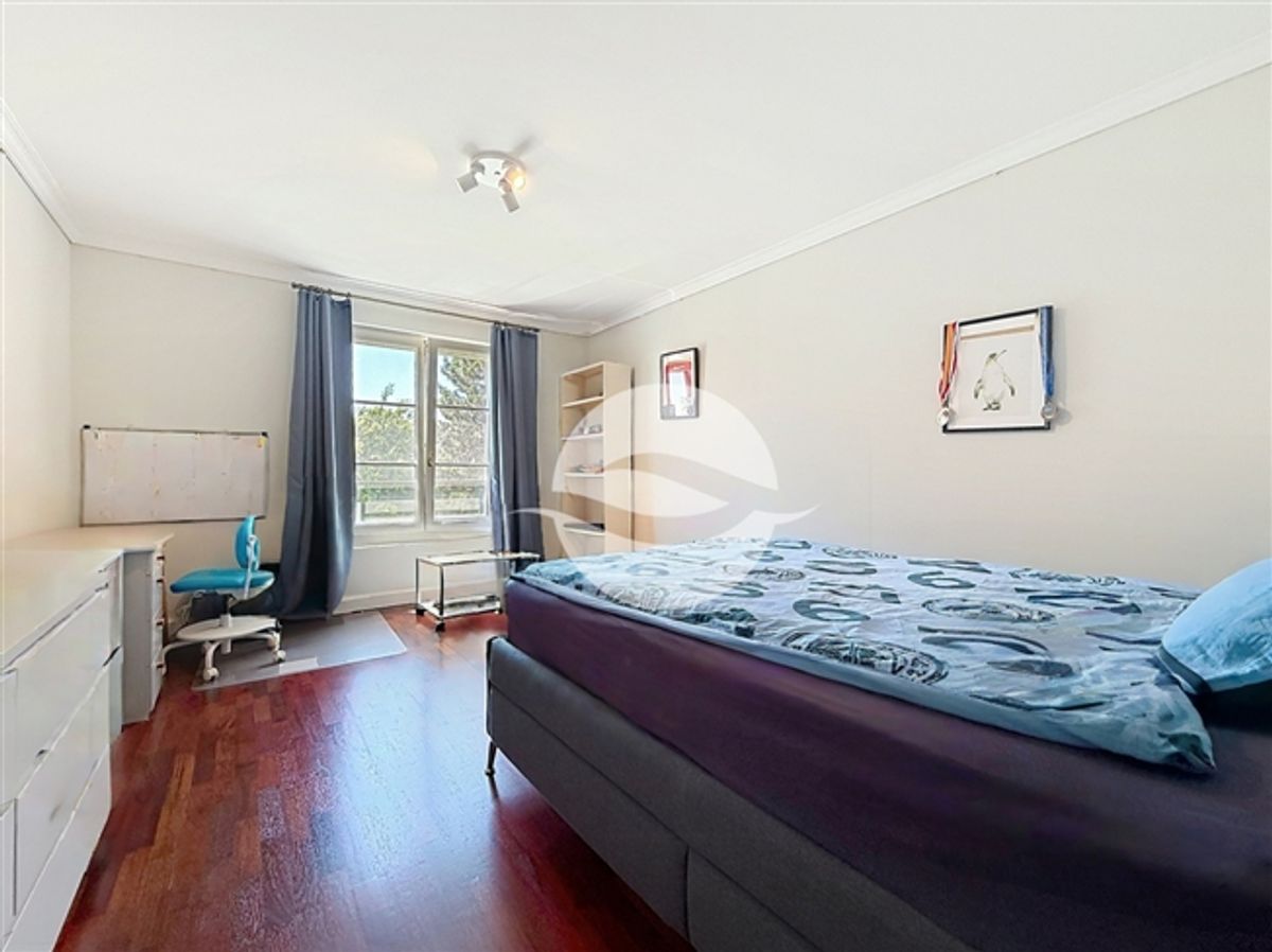 Wunderschöne 10,5-Zimmer-Villa + unabhängiges Studio - 9