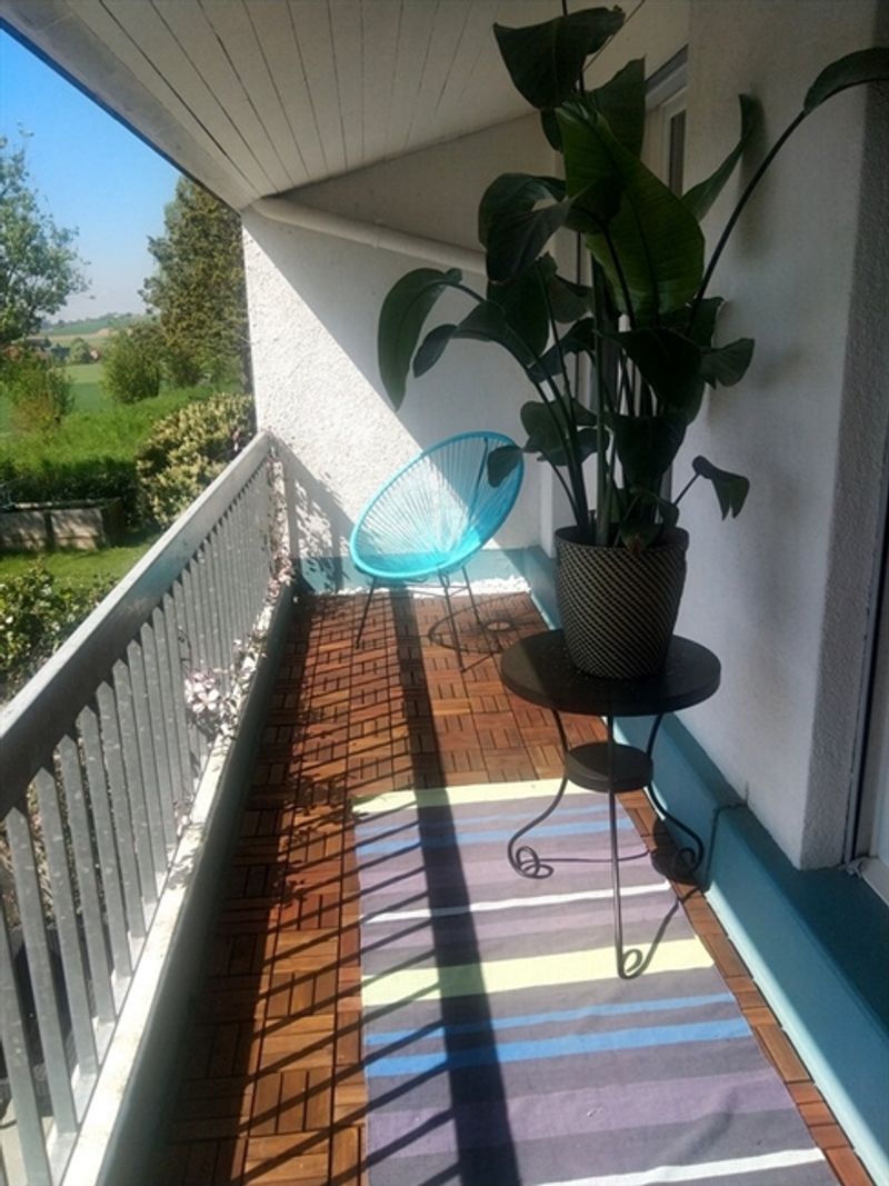 FÜR KATZENLIEBHABER IN KIRCHLINDACH (BE), MÖBLIERT, TEMPORÄR - 9