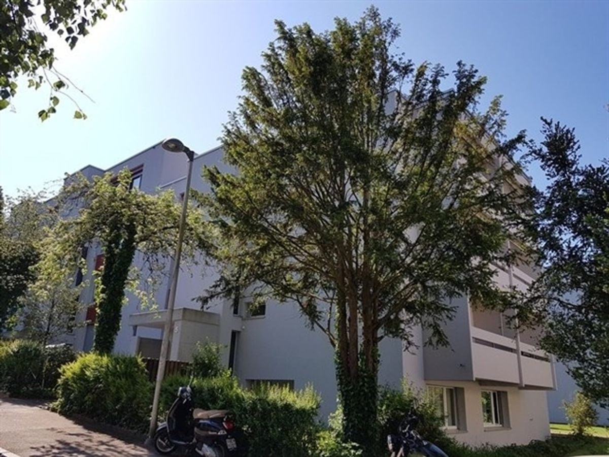 Ihre neue Wohlfühloase - 0